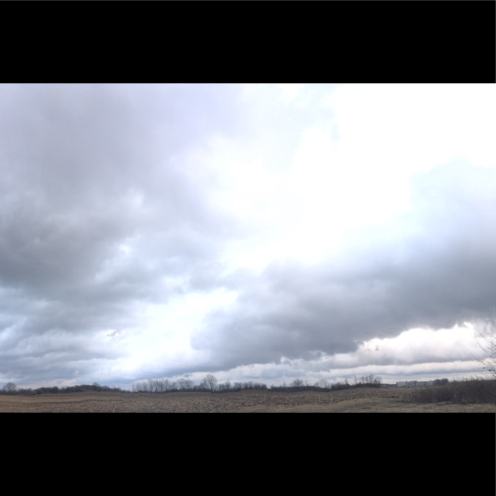 Meet your Posher, Carrie